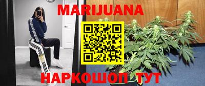 стаф Кандалакша
