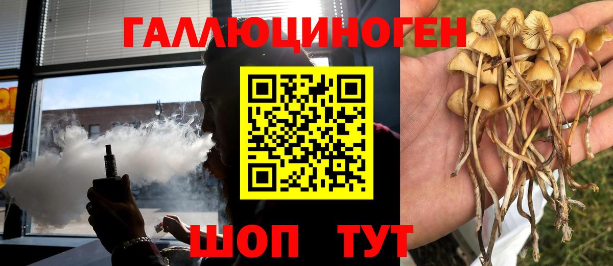 Галлюциногенные грибы прущие грибы Кемерово